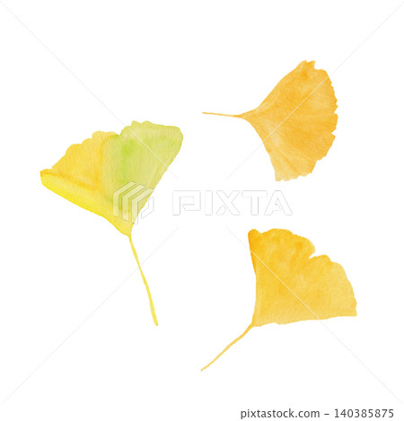 Three gentle ginkgo leaves painted in hand-drawn watercolors. Three gentle ginkgo leaves painted in hand-drawn watercolors. 140385875
