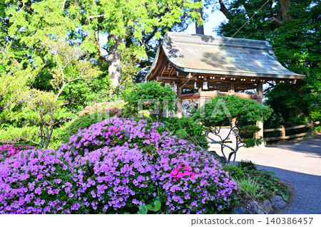 Around the time when azaleas are in bloom, near the purification fountain, Karasawayama Shrine, Sano City, Tochigi Prefecture. Around the time when azaleas are in bloom, near the purification fountain, Karasawayama Shrine, Sano City, Tochigi Prefecture. 140386457