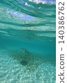 A refreshing photo of a half-submerged object. 140386762