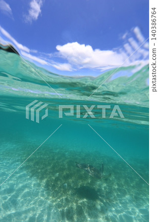 A refreshing photo of a half-submerged object. A refreshing photo of a half-submerged object. 140386764