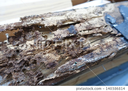 Pillars of a house damaged by termites Pillars of a house damaged by termites 140386814