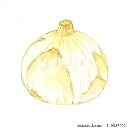 New onion - Hand-drawn watercolor illustration of a vegetable New onion - Hand-drawn watercolor illustration of a vegetable 140387022
