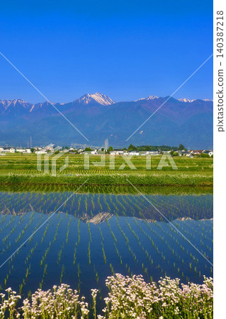 Rice paddies and the Northern Alps (Hakuba Village, Nagano Prefecture) Rice paddies and the Northern Alps (Hakuba Village, Nagano Prefecture) 140387218