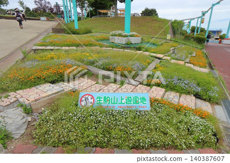 生駒三條遊樂園入口處的花壇（奈良縣生駒市） 140387607