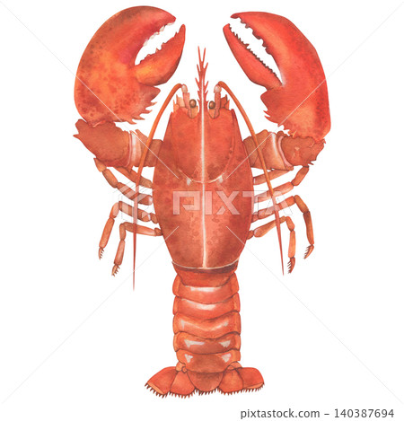 Watercolor illustration of lobster on white background. Fresh organic seafood. Hand drawn illustration. For design, postcards, posters, textiles, menus, books, packaging, printing Watercolor illustration of lobster on white background. Fresh organic seafood. Hand drawn illustration. For design, postcards, posters, textiles, menus, books, packaging, printing 140387694