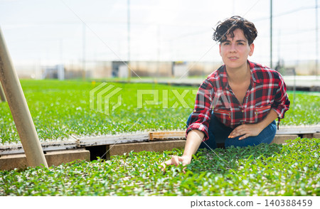 Hardworking woman farmer, growing seedlings in a greenhouse, conducts their inspection Hardworking woman farmer, growing seedlings in a greenhouse, conducts their inspection 140388459