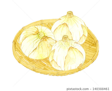 New onions on a bamboo basket - Hand-drawn watercolor illustration of vegetables New onions on a bamboo basket - Hand-drawn watercolor illustration of vegetables 140388461
