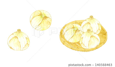 New onion set - Hand-drawn watercolor illustration of vegetables New onion set - Hand-drawn watercolor illustration of vegetables 140388463