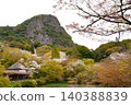 透過櫻花，可以看到春日嶙峋的山巒。 140388839