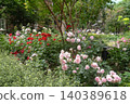 Mitsubishi Ichigokan Museum Rose Garden 140389618