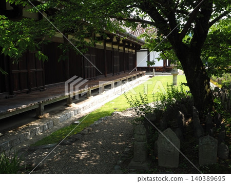 The shadows stretching across the Zen room of the World Heritage site Gangoji Temple, and the white walls illuminated by the dappled sunlight filtering through the fresh green leaves. 140389695