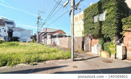 省會城市中到處都是空地和爬滿常春藤的建築物。 140389801