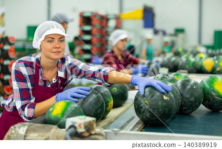Female worker sorting watermelons in fruit factory workshop 140389919