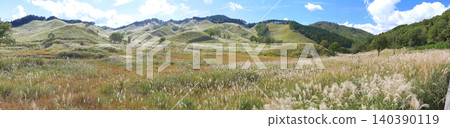 A vast expanse of pampas grass on Tonomine Plateau, where the autumn breeze gently blows. A vast expanse of pampas grass on Tonomine Plateau, where the autumn breeze gently blows. 140390119