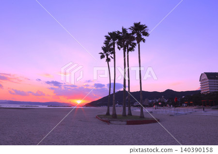 The sunset sinking into the middle of the Akashi Kaikyo Bridge, as seen from Suma Seaside Park, and the "Wishing Palm Tree." The sunset sinking into the middle of the Akashi Kaikyo Bridge, as seen from Suma Seaside Park, and the "Wishing Palm Tree." 140390158