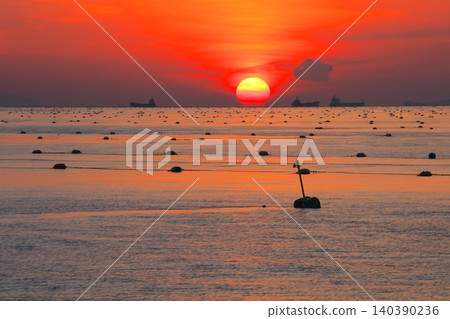 從江賀島港眺望,明石海峽上空落下的夕陽宛如達摩不倒翁,海藻養殖網的浮標點綴其間。 從江賀島港眺望,明石海峽上空落下的夕陽宛如達摩不倒翁,海藻養殖網的浮標點綴其間。 140390236