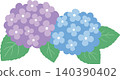 Cute blue and purple hydrangea vector illustration 140390402