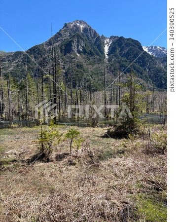 View of Mt. Rokuhyaku from Dakesawa Marsh, with dead trees and a blue sky, Kamikochi. View of Mt. Rokuhyaku from Dakesawa Marsh, with dead trees and a blue sky, Kamikochi. 140390525