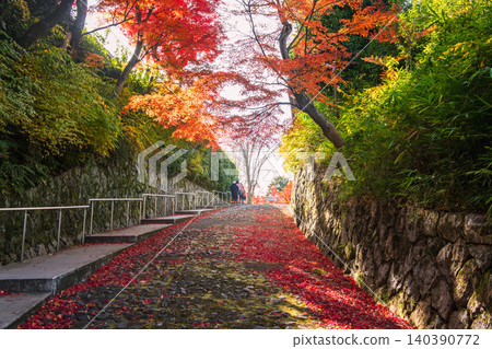 family through autumn maple tree tunnel of Shinnyodo Temple, Kyoto family through autumn maple tree tunnel of Shinnyodo Temple, Kyoto 140390772