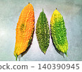 家庭菜園種植的苦瓜成熟階段比較（完全成熟、半成熟和可食用） 140390945