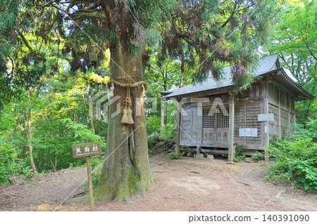 Monju Mountain: Murodo Hall and Tengu Cedar Monju Mountain: Murodo Hall and Tengu Cedar 140391090