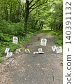 Bear attention 140391132
