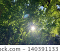 The sun shining through the greenery of the trees 140391133