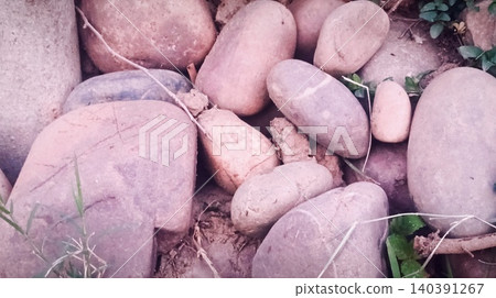 stone wall with root of tree stone wall with root of tree 140391267