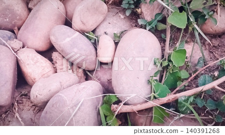 Stones on the ground Stones on the ground 140391268