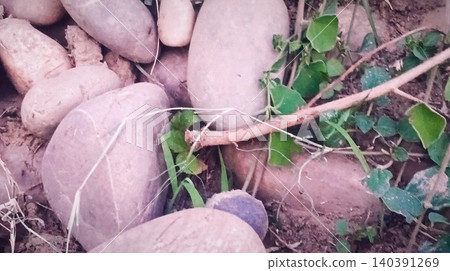 Pile of stone Pile of stone 140391269