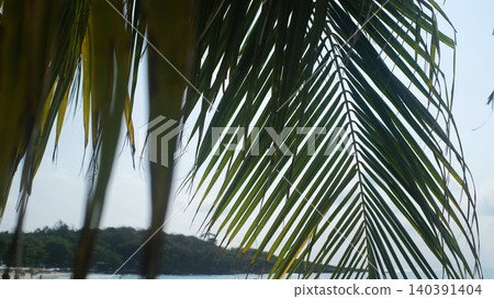 Close-up of a green palm leaf in foreground framing a scenic view of blue sea and tropical beach. Nature framing concept Close-up of a green palm leaf in foreground framing a scenic view of blue sea and tropical beach. Nature framing concept 140391404