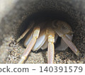 Crab emerging from dark sand burrow hole on beach closeup 140391579