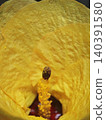 Detailed macro shot of a vibrant yellow sea hibiscus flower showcasing its internal structure 140391580
