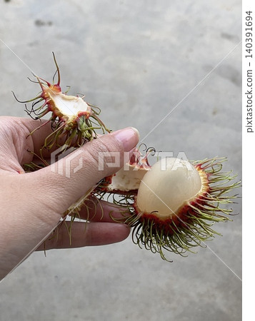 Hand holding peeled rambutan fruit Hand holding peeled rambutan fruit 140391694