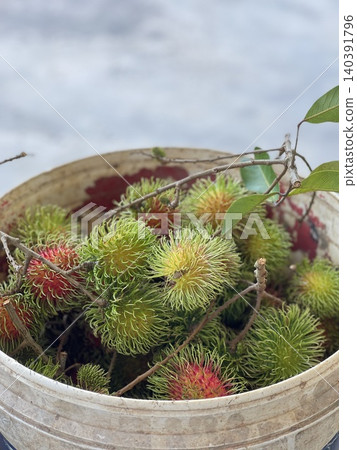Freshly harvested rambutan fruits in a bucket Freshly harvested rambutan fruits in a bucket 140391796