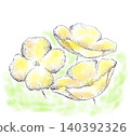 Poppy flowers 140392326