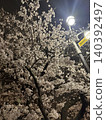 晚上抬頭看櫻花 140392497