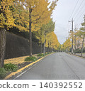 道路兩旁種滿了銀杏樹。 140392552