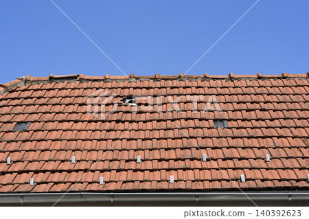 Old clay tile roof with a broken tile and snow guards 140392623