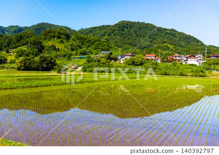 稻田播種後,景色優美,充滿自然氣息,展現了美麗的鄉村風光。 稻田播種後,景色優美,充滿自然氣息,展現了美麗的鄉村風光。 140392797