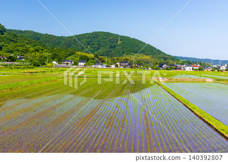 稻田播種後,景色優美,充滿自然氣息,展現了美麗的鄉村風光。 稻田播種後,景色優美,充滿自然氣息,展現了美麗的鄉村風光。 140392807