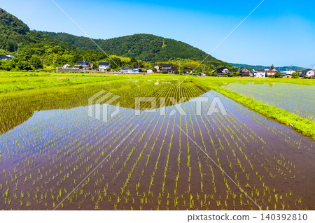 稻田播種後,景色優美,充滿自然氣息,展現了美麗的鄉村風光。 稻田播種後,景色優美,充滿自然氣息,展現了美麗的鄉村風光。 140392810