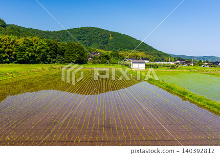 稻田播種後,景色優美,充滿自然氣息,展現了美麗的鄉村風光。 稻田播種後,景色優美,充滿自然氣息,展現了美麗的鄉村風光。 140392812