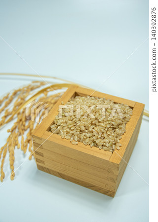 Rice stalks and brown rice in a measuring cup Rice stalks and brown rice in a measuring cup 140392876