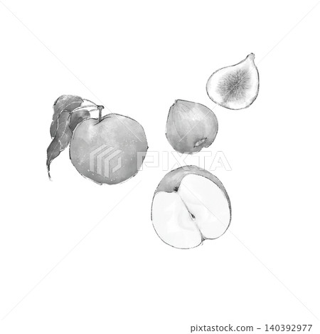 Watercolor illustration of pears and figs 140392977