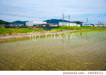 The Fukutetsu Fukubu Line runs through a rural area where rice planting has begun. The Fukutetsu Fukubu Line runs through a rural area where rice planting has begun. 140393111