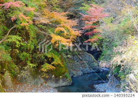 【神奈川縣】秋葉垂掛在峽谷岸邊 【神奈川縣】秋葉垂掛在峽谷岸邊 140393224