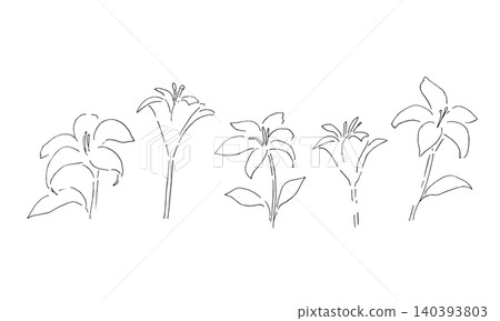Elegant floral line art border frame set. Hand-painted botanical lily flower collection. Perfect for wedding invitations. Elegant floral line art border frame set. Hand-painted botanical lily flower collection. Perfect for wedding invitations. 140393803