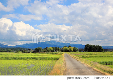 Rice paddy scenery of the Shonai Plain in June Rice paddy scenery of the Shonai Plain in June 140393837