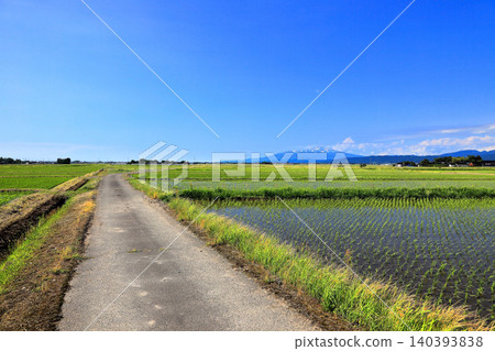 六月莊內平原的稻田景色 六月莊內平原的稻田景色 140393838
